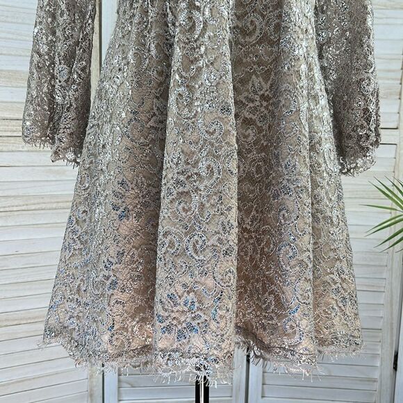 Corey Lynn Calter Anthropologie Metallic Lace Skater Mini Dress XS - Picture 4 of 13